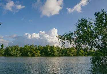 为什么顶级联赛的商业开发正在下沉到二三线城市？kaiyun深度解析流量与转化的变迁。